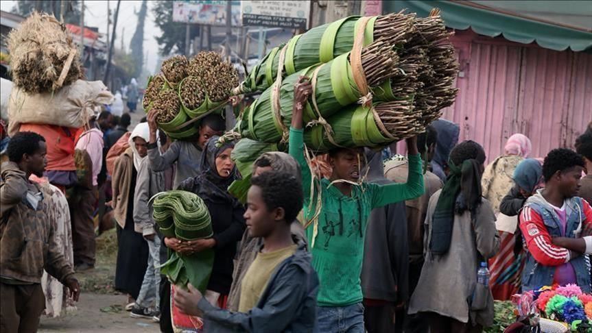 "الانتقالي الجنوبي" يتراجع عن قرار منع دخول القات إلى عدن