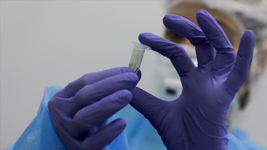 بروفيسور مغربي: كورونا تحت السيطرة (مقابلة)