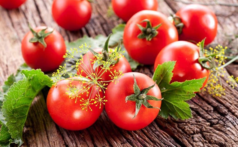 vegetables_tomatoes_dill_485432_1680x1050-825x510-2 متى تزرع الطماطم