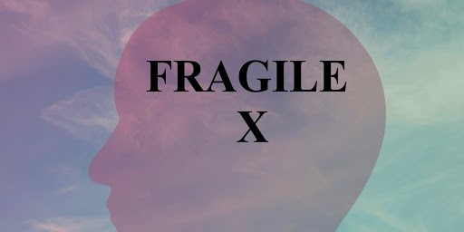 متلازمة كروموزوم إكس الهش