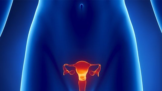 54e1ebad31bfdarticle_784_1-1 تشنج المهبل وتأثيره على العلاقة الزوجية