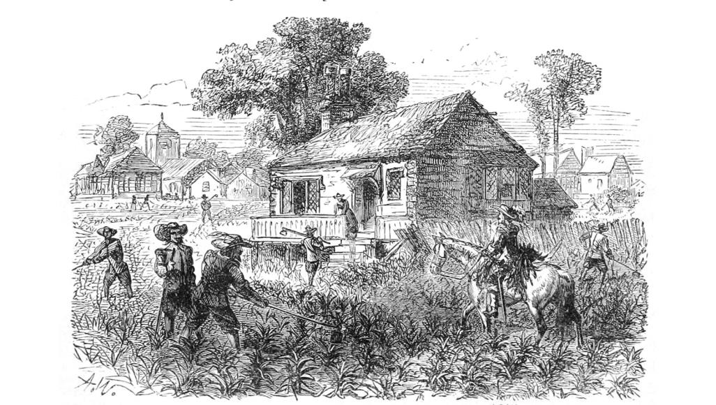 حياة البشر في مقابل الأرباح.. هل تتكرر دروس التاريخ الأميركي المؤلمة؟ مستوطنة جيمستاون اشتهرت بزراعة التبغ منذ بداية القرن السابع عشر (ويكيبيديا)