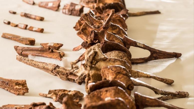 cc167e9e-54c7-469e-816f-4582ce7cc92e-15