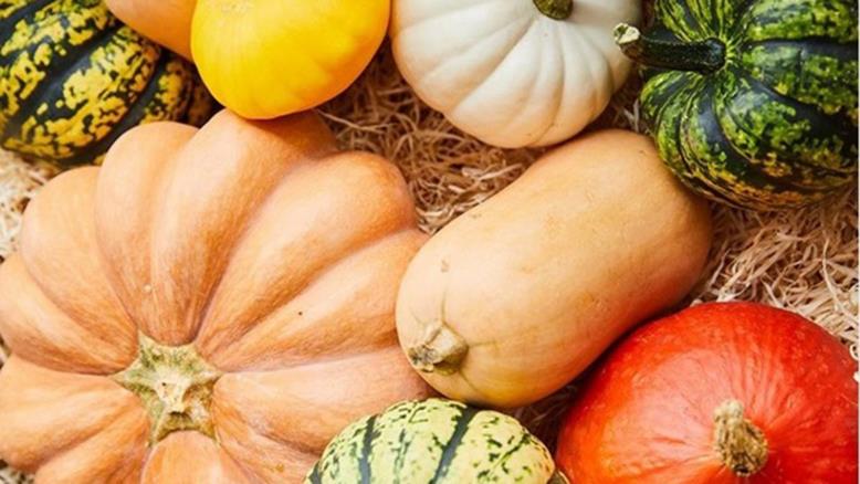 cc167e9e-54c7-469e-816f-4582ce7cc92e-28