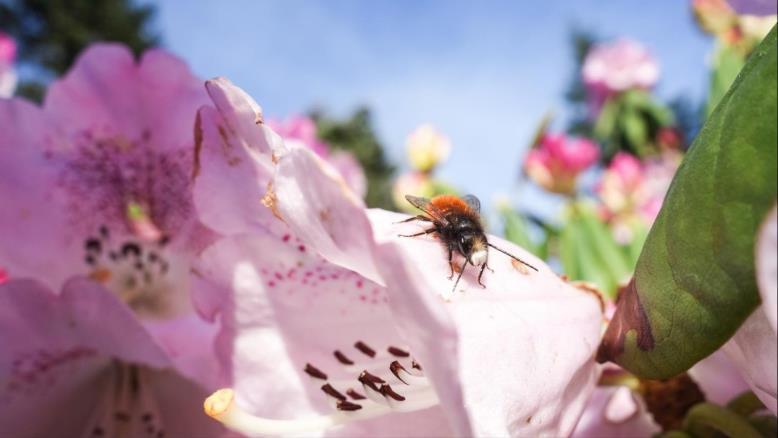 cc167e9e-54c7-469e-816f-4582ce7cc92e-58