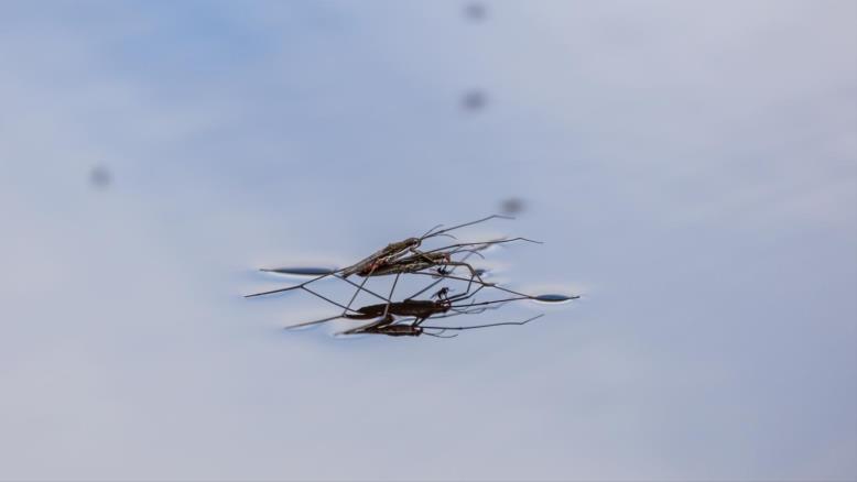 cc167e9e-54c7-469e-816f-4582ce7cc92e-59