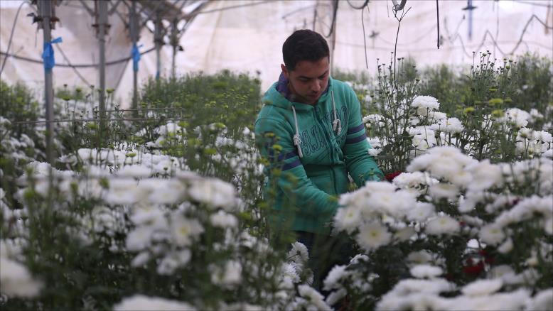 cc167e9e-54c7-469e-816f-4582ce7cc92e-89