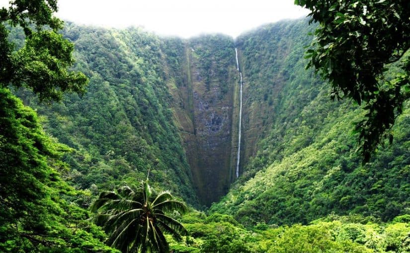 d8a3d8acd985d984-d985d986d8a7d8b7d982-d981d98a-d8a7d984d8a8d8b1d8aad8bad8a7d984-825x510-2 أجمل مناطق في البرتغال