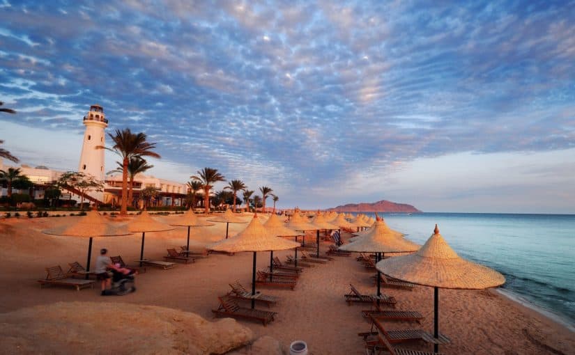 d8a3d981d8b6d984-d981d986d8a7d8afd982-d981d98a-d8b4d8b1d985-d8a7d984d8b4d98ad8ae-825x510-2