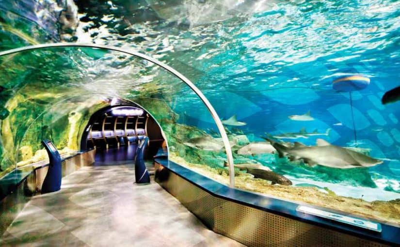 أكواريوم اسطنبول