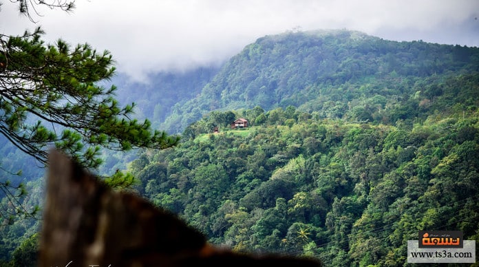 d8a7d984d8b3d98ad8a7d8add8a9-d981d98a-d8a5d986d8afd988d986d98ad8b3d98ad8a7-d8a3d8b4d987d8b1-d985d8b9d8a7d984d985-d8a7d984d8b3d98ad8a7d8add8a9-d981d98a-d8a5d986d8afd988d986d98ad8b3d98ad8a7-d8a8d988d986 السياحة في إندونيسيا أشهر معالم السياحة في إندونيسيا بونشاك