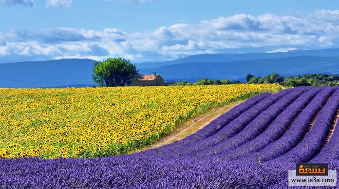 d8a7d984d8b3d98ad8a7d8add8a9-d981d98a-d981d8b1d986d8b3d8a7-d8a3d981d8b6d984-d988d8a3d8b4d987d8b1-d985d8afd986-d8a7d984d8b3d98ad8a7d8add8a9-d981d98a-d981d8b1d986d8b3d8a7 السياحة في فرنسا أفضل وأشهر مدن السياحة في فرنسا