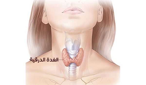 الغدة الدرقية
