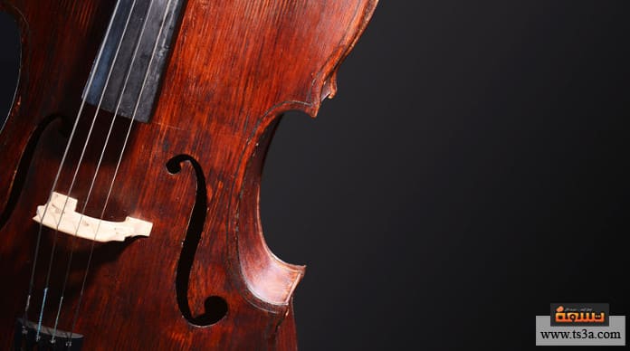 تطور الأغاني ظهور فن الغناء و تطور الأغاني قديما