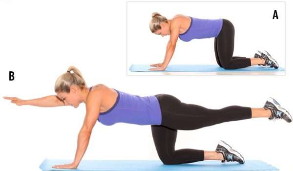 d8aad985d8b1d98ad986-quadruped-arm-and-leg-raise-d984d980-d8b9d984d8a7d8ac-d8aad982d988d8b3-d8a7d984d8b8d987d8b1 تمرين Quadruped arm and leg raise لـ علاج تقوس الظهر