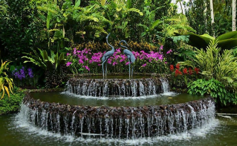 d8add8afd98ad982d8a9-d8b3d986d8bad8a7d981d988d8b1d8a9-d8a7d984d986d8a8d8a7d8aad98ad8a9-825x510-2 حديقة سنغافورة النباتية