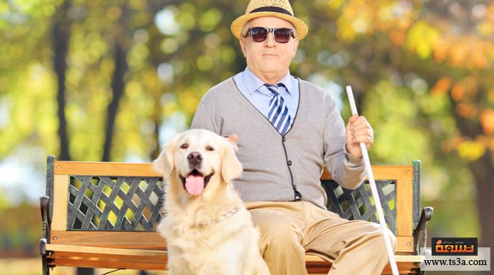 d8b3d981d8b1-d8a7d984d985d983d981d988d981-d984d985d8a7d8b0d8a7-d98ad98fd8b6d8b7d8b1-d8a7d984d985d983d981d988d981-d984d984d8b3d981d8b1-d988d8add8afd987d89f سفر المكفوف لماذا يُضطر المكفوف للسفر وحده؟