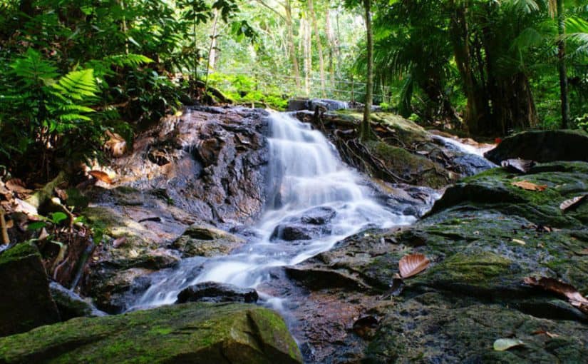 d8b4d984d8a7d984d8a7d8aa-d8aad985d8a8d984d8b1-d8a8d8a7d8b1d983-d985d8a7d984d98ad8b2d98ad8a7-825x510-2 شلالات تمبلر بارك ماليزيا