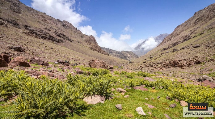 مدينة مراكش إمليل وحديقة توبقال الوطنية