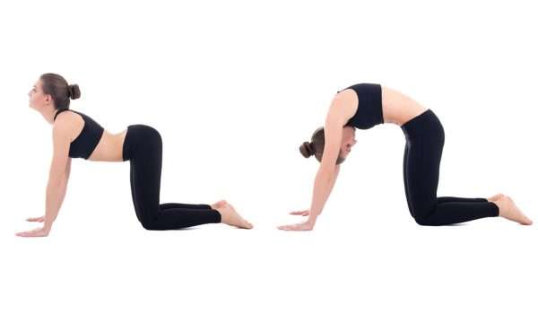 d988d8b6d8b9d98ad8a9-cat-cow وضعية cat cow