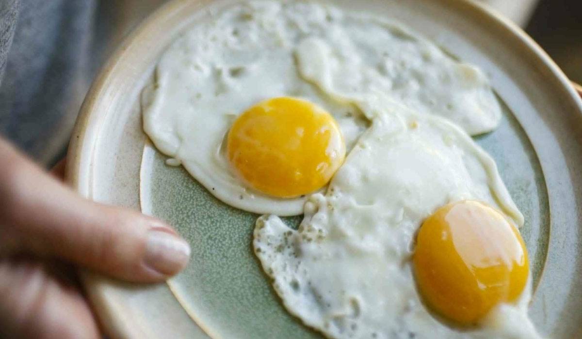 e-24-3 بيض بلاستيك