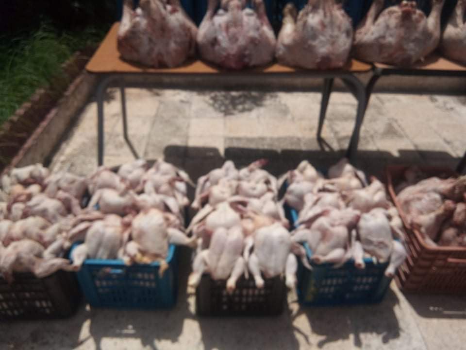 ea299ede-f96f-469b-af03-32637bd548d1