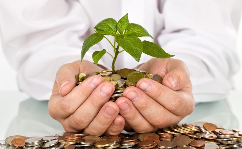 rost-825x510-2 مشاريع صغيرة مربحة في السعودية