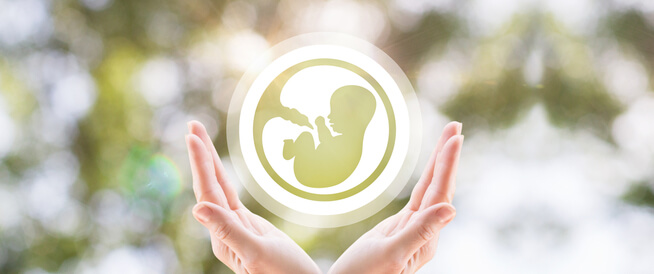 tbl_articles_article_22272_638ea280ef1-0bae-479b-9782-2e4919cb255d مخزون البويضات: ماذا يجب أن تعرف