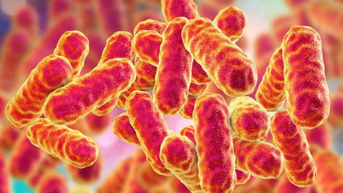 طبابة نت - عدوى الخميرة المهبلية