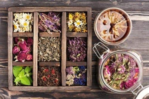 d986d8a8d8a7d8aad8a7d8aa التداوي بالأعشاب وفوائده