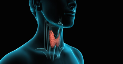 36632e59ed1439125e44dfd537aad5ad-1 طرق واطعمة تساعد في زيادة نشاط الغدة الدرقية