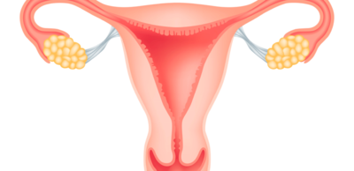 46371d71678815acc71056c771876e92-1 تنشيط التبويض خطوة في حلم الأمومة