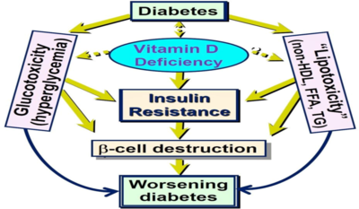 620ef0b5df0045298b0413a3dd8b1518-1 فيتامين د والسكري
