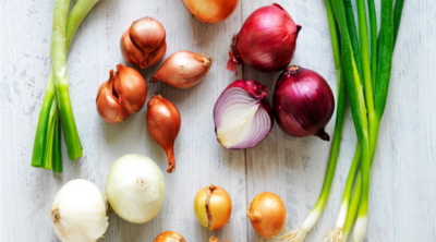 957c9db2a39abbbfd8fbe36e626f542b-1 قشور البصل علاج ناجع للكثير من الأمراض
