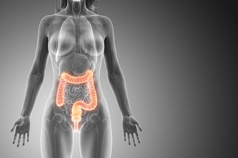 البوليبات القولونية