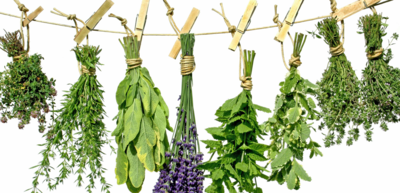 f813367724e72ca328d87b8c850b5eed-1 أعشاب مجففة يجب أن تتوفر في المنزل