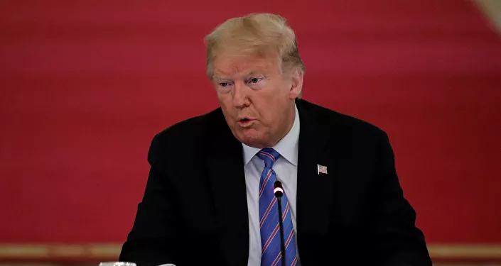 الرئيس الأمريكي دونالد ترامب الرئيس الأمريكي دونالد ترامب