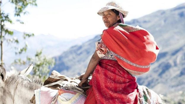 112666616_6000e6e3-a971-46f8-9a50-b66ff3549e9c