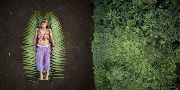 112761830_pabloalbarengauruguayphotographeroftheyearprofessionalcompetitioncreative2020sonyworldphotographyawards-2 رجل يفترش سعفتين خضراوين