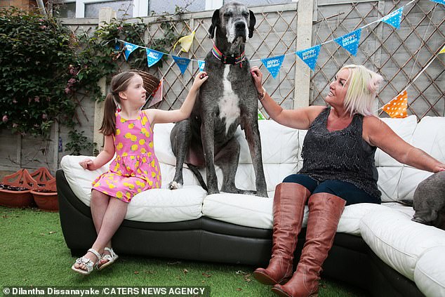 29340826-0-image-a-15_1591572320177 Owner Claire Stoneman (right), from Weeting, Norfolk, threw the pooch a birthday bash to celebrate his eighth birthday on May 17