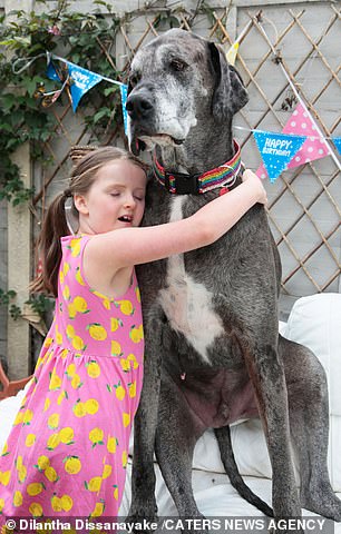 29340846-0-image-a-35_1591572546176 Erin, who is in year two at primary school, has known Freddy her whole life as she was born just four months after her furry friend