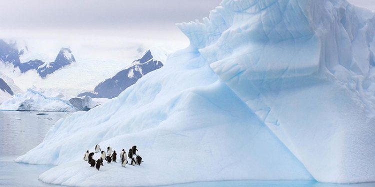 33333-750x375-2 تعرف على موقع أنظف هواء في العالم