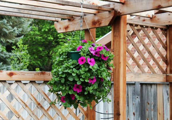 السلال المعلقة