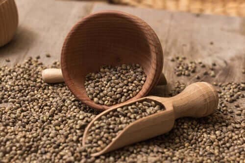 d8a8d8b0d988d8b1-d982d986d8a8 بذور قنب