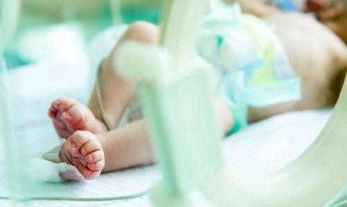 مسببات وعوامل خطر انشقاق البطن الخلقي