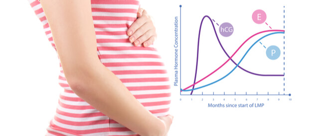 tbl_articles_article_23633_6981751dffe-af75-4109-b276-1285089bae3e جدول نسبة هرمون الحمل: ماذا تعني الأرقام