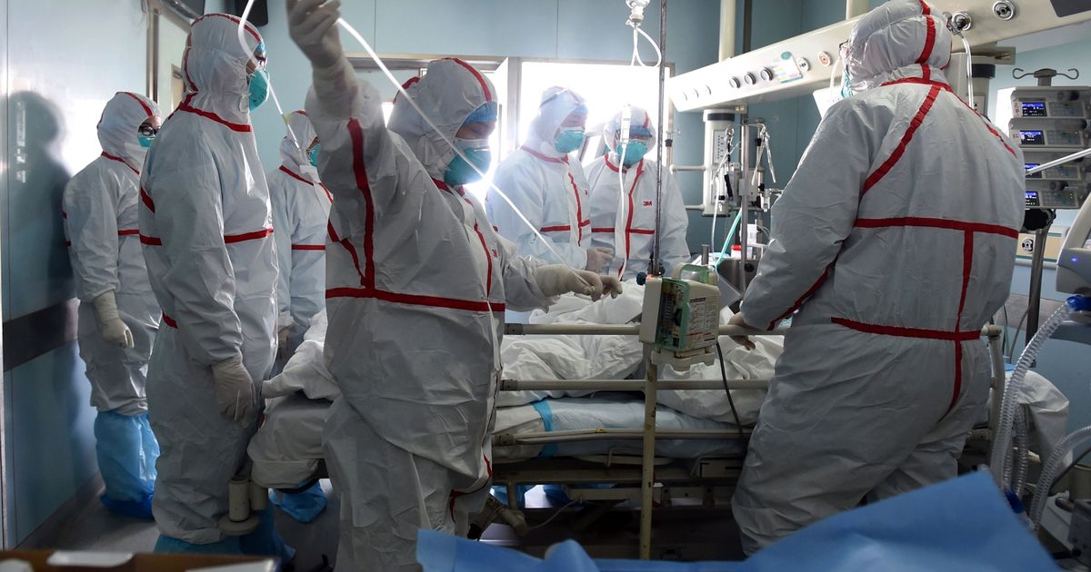 0_topshot-china-health-bird-flu-h7n9