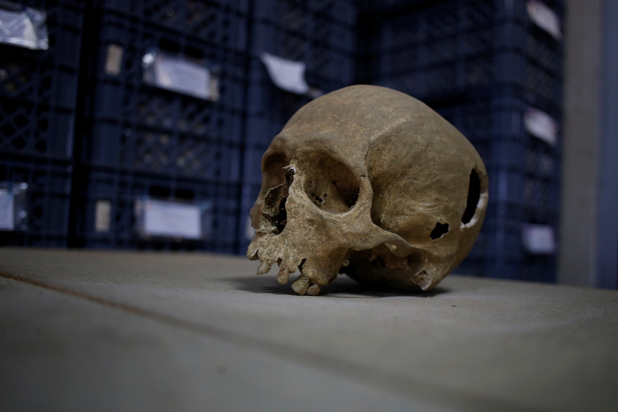 0a3f1461-bbd8-4ddf-a603-d49d5bc8f3d3