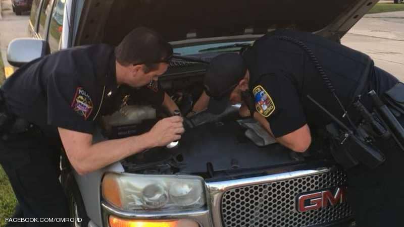 1-1176782 Ù
ØØ§ÙÙØ§Øª ÙØ¥Ø®Ø±Ø§Ø¬ Ø§ÙØ«Ø¹Ø¨Ø§Ù Ø§ÙØ¶Ø®Ù