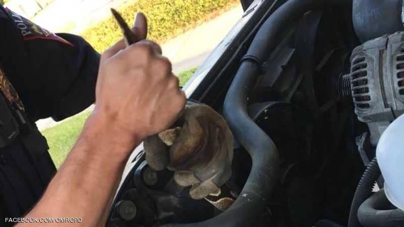 1-1176784 ÙØ¬Ø§Ø Ø§ÙØ¹Ù
ÙÙØ© ÙØ¥Ø®Ø±Ø§Ø¬ Ø§ÙØ«Ø¹Ø¨Ø§Ù Ù
Ù Ø§ÙØ³Ùارة